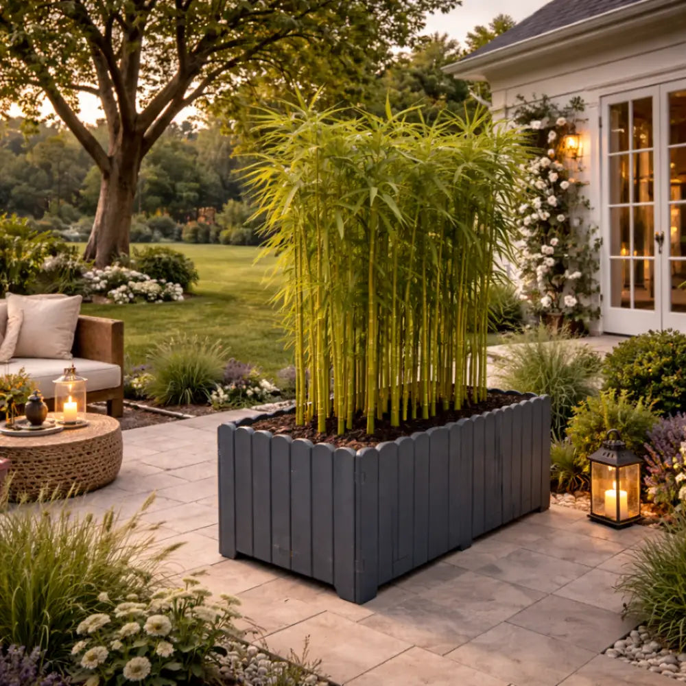 Grande jardinière pour bambou