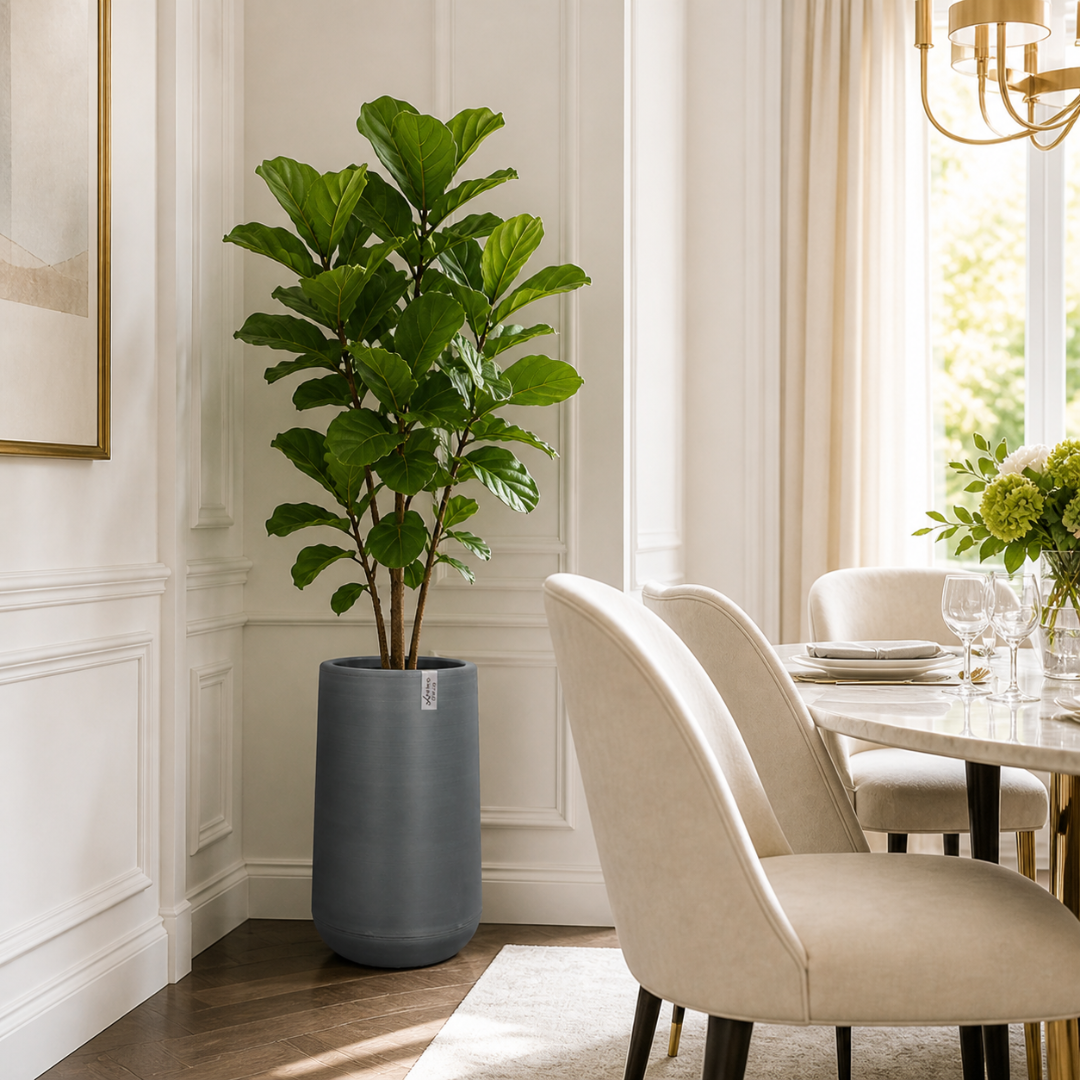 Grand vase pour plante intérieur