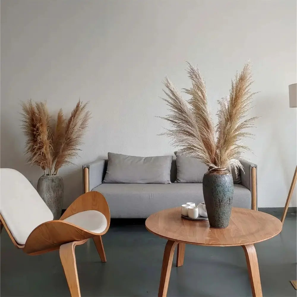 Bouquet de pampa - 10pcs