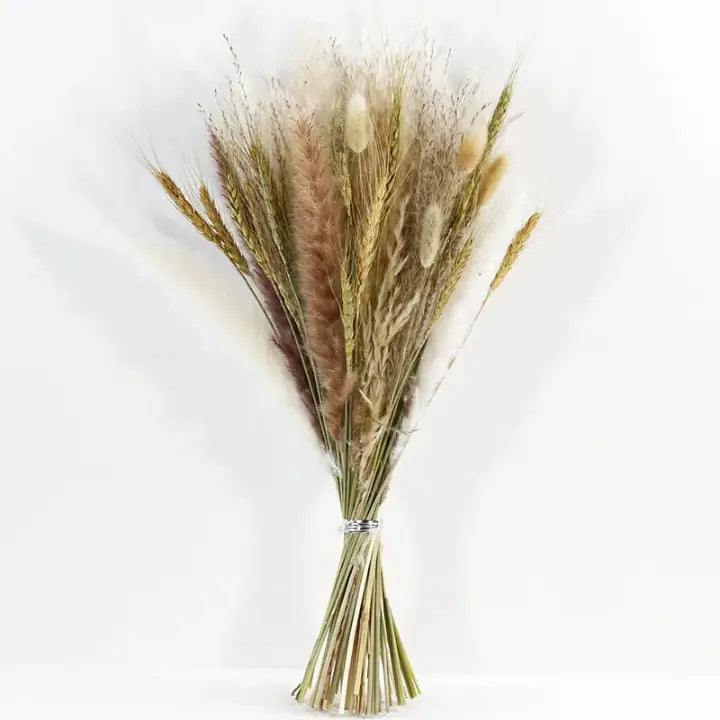 Bouquet fleurs séchées pampa - 60pcs