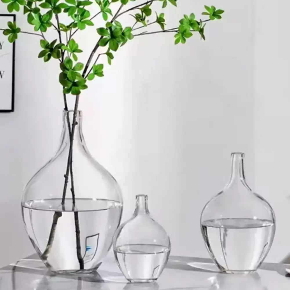 Dame Jeanne vase - Décoration intérieure