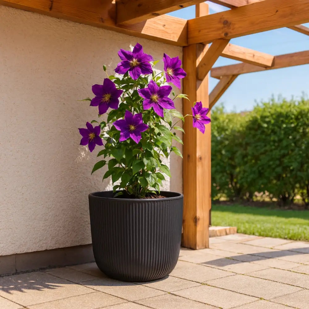 Grand pot de fleur extérieur gris anthracite