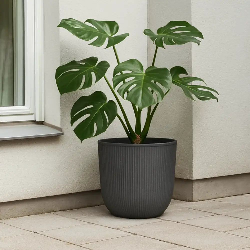 Grand pot de fleur extérieur gris anthracite