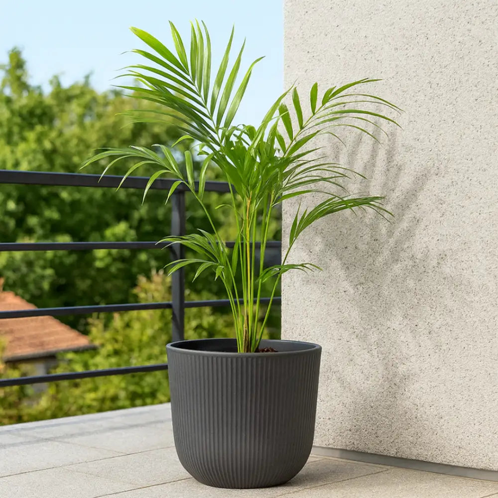 Grand pot de fleur extérieur gris anthracite