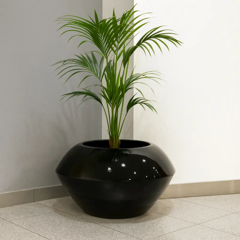 Grand pot de fleur noir