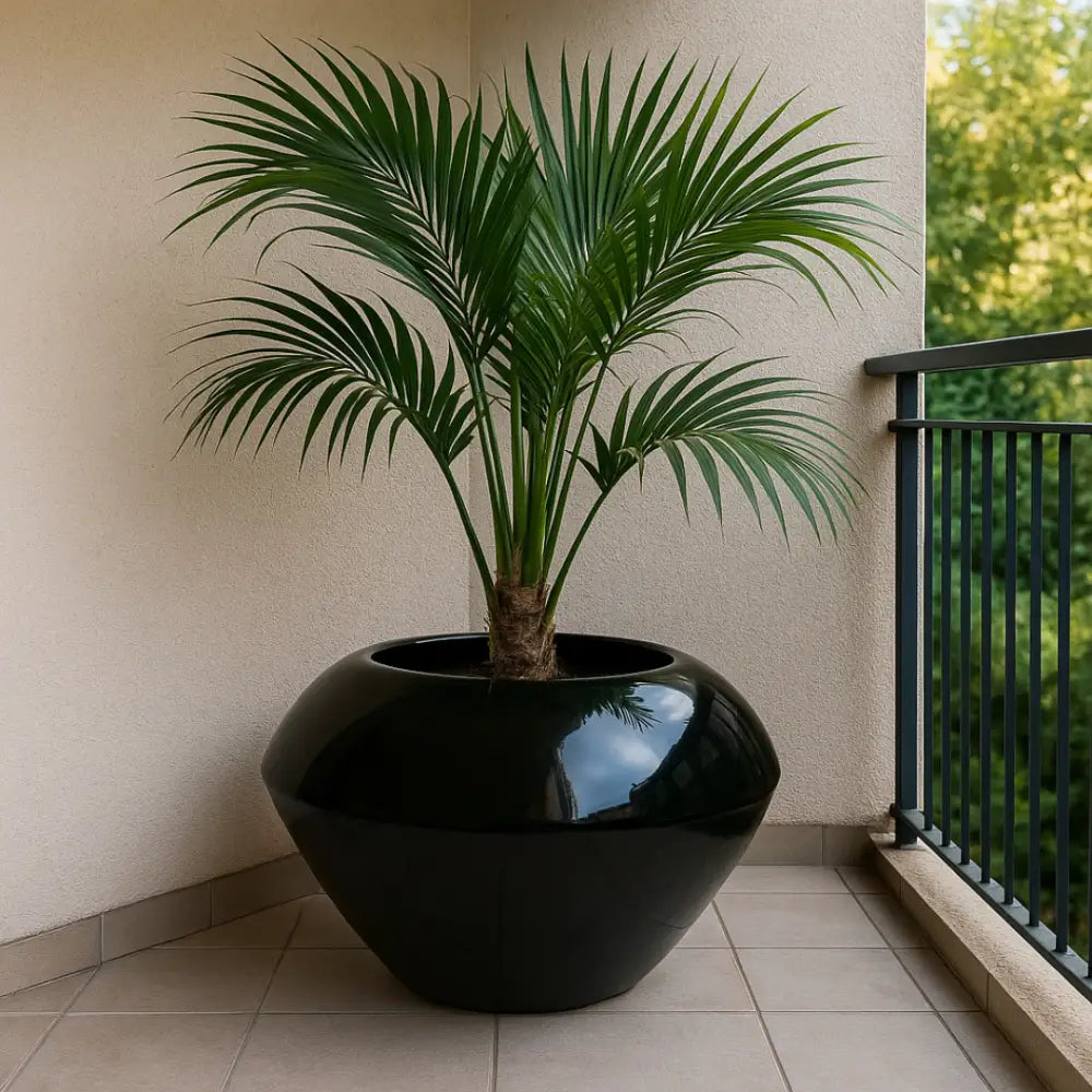 Grand pot de fleur noir