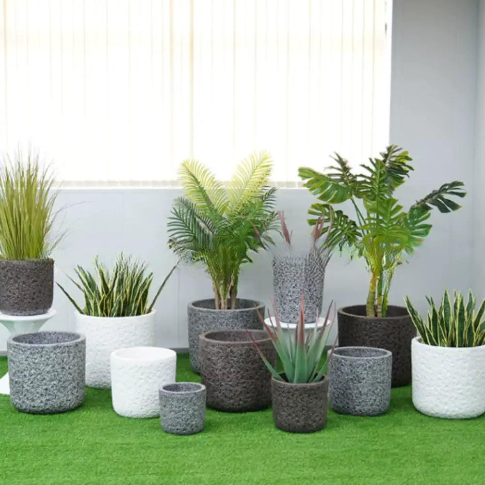 Grand pot de fleur pour citronnier