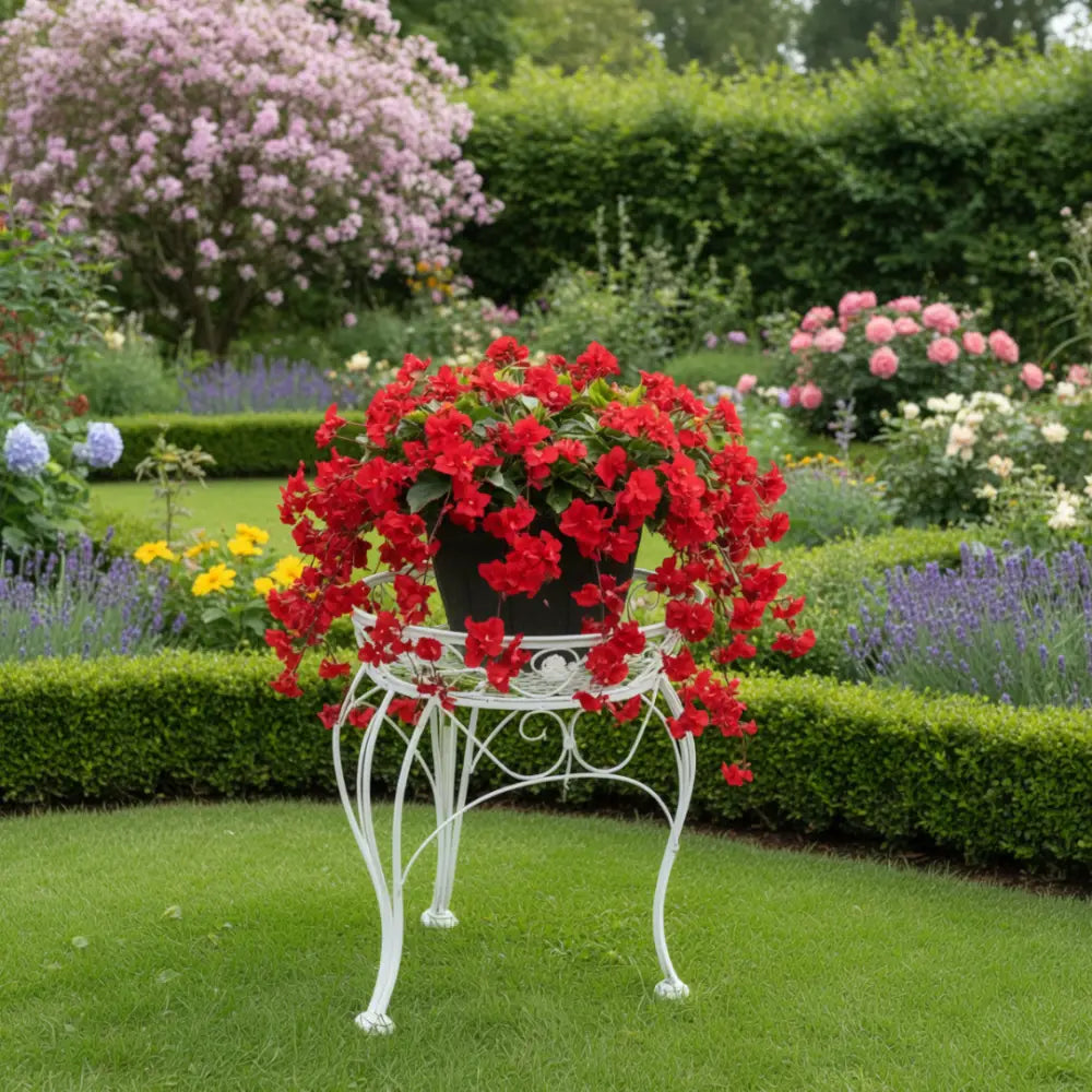 Porte plante en fer forgé ancien - Blanc