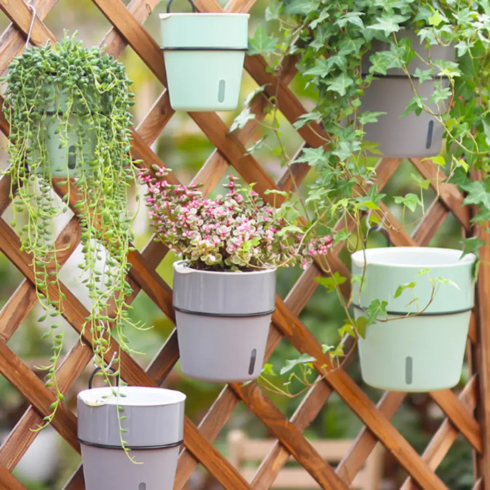 Pot de fleur suspendu avec réserve d’eau