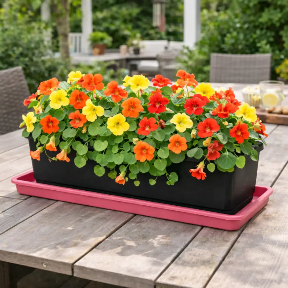 Soucoupe jardinière rectangulaire 40 cm