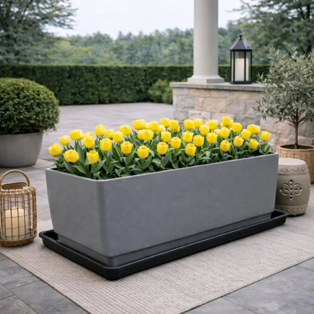 Soucoupe jardinière rectangulaire 80 cm