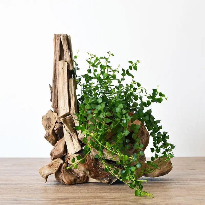 Ziliny Lot de 4 pots de fleurs murales en bois pour fleurs séchées et plantes artificielles d'intérieur, décoration murale en bois, vase de poche en bois, fleurs à suspendre pour salon, chambre