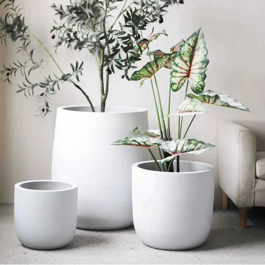 Pot de fleur XXL - Sublimez votre déco avec élégance et impact visuel ...