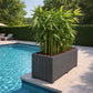 Grande jardinière pour bambou