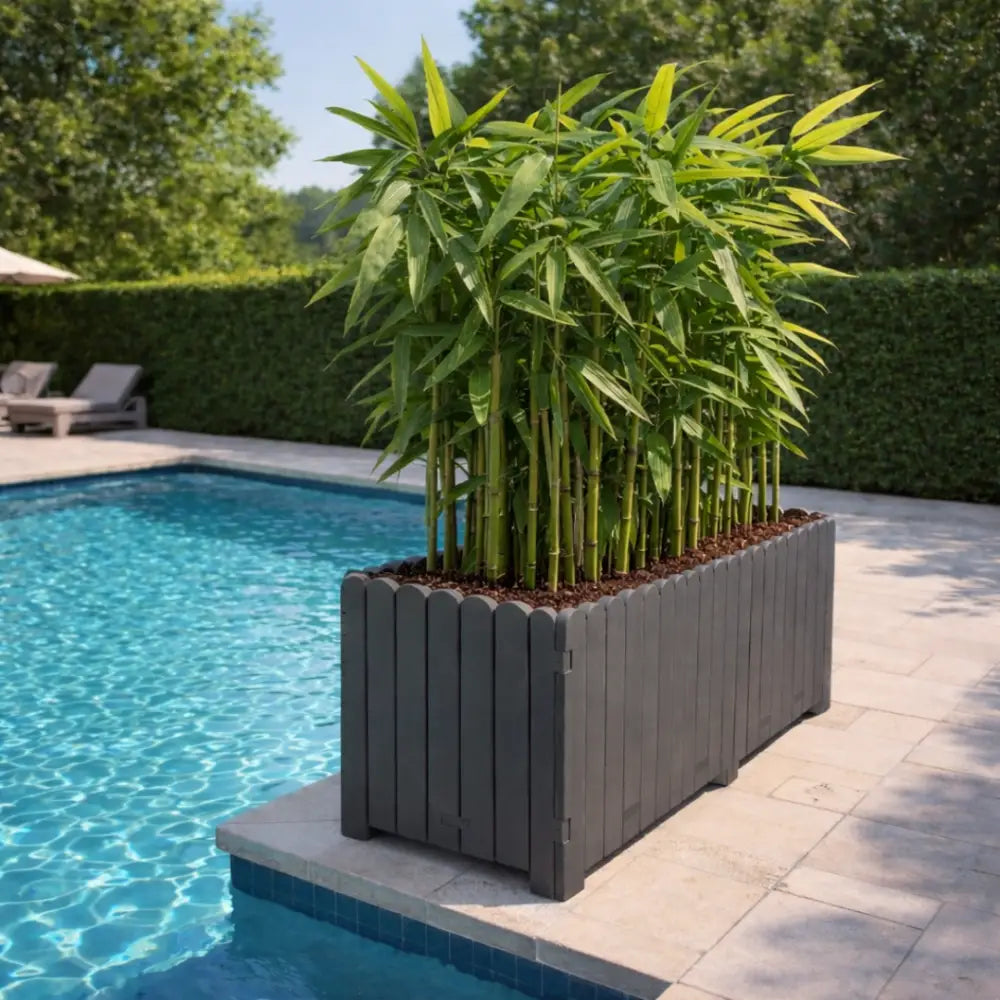 Grande jardinière pour bambou