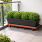 Soucoupe jardinière rectangulaire 80 cm