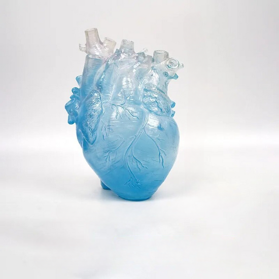 Vase coeur organe