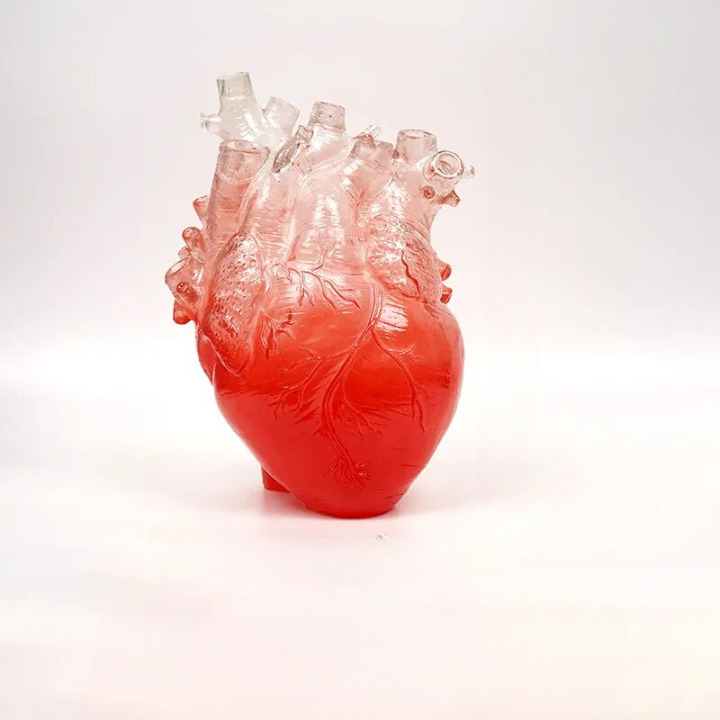 Vase coeur organe