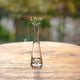 Vase soliflore verre