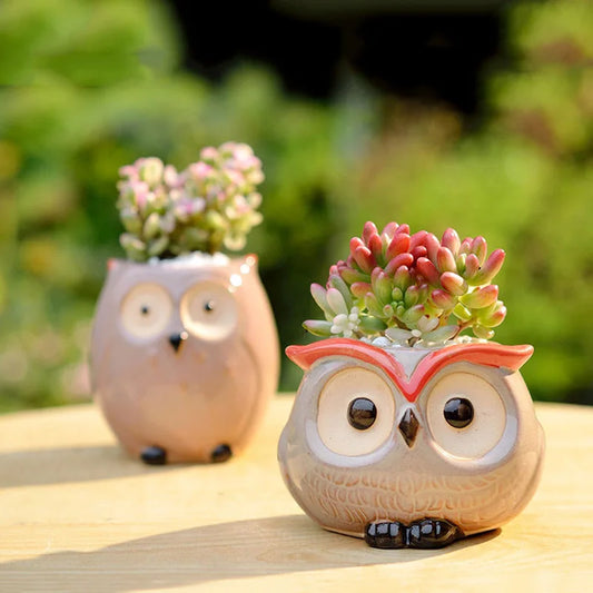 Pot de fleur hibou