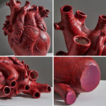 Vase coeur humain