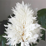 Fleur séchée blanche
