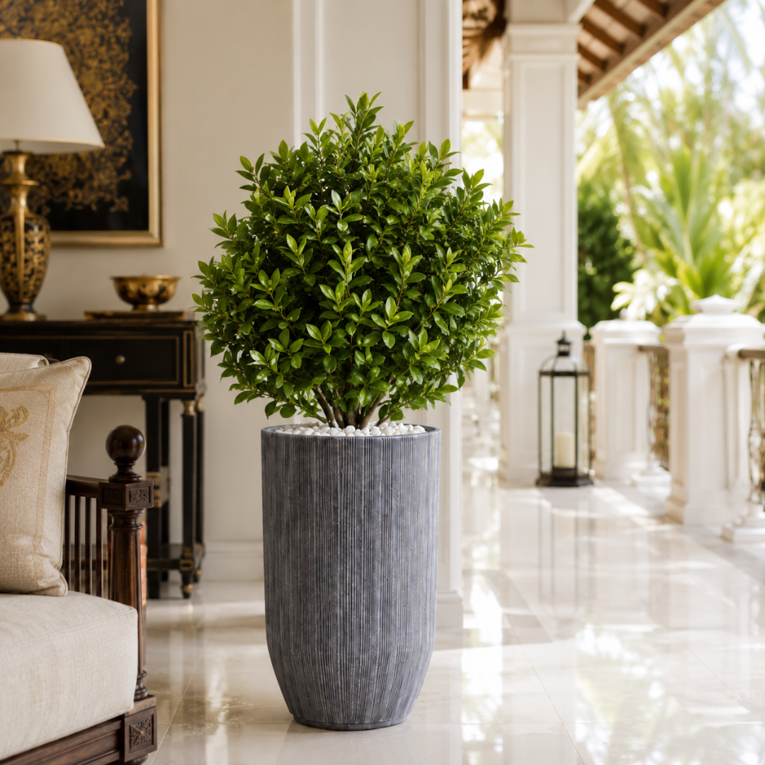 Grand vase gris anthracite