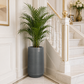 Grand vase pour plante intérieur