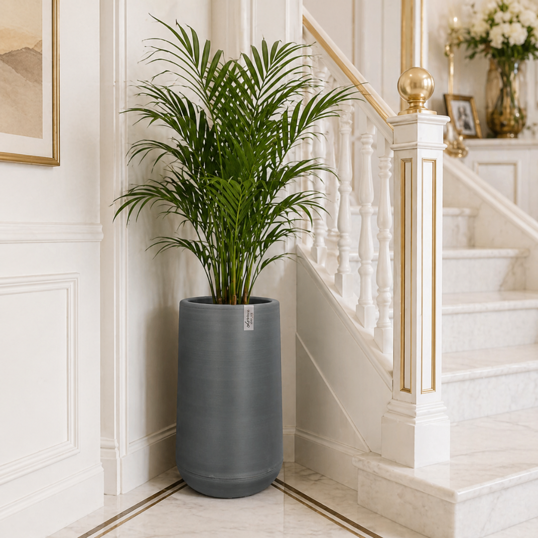 Grand vase pour plante intérieur