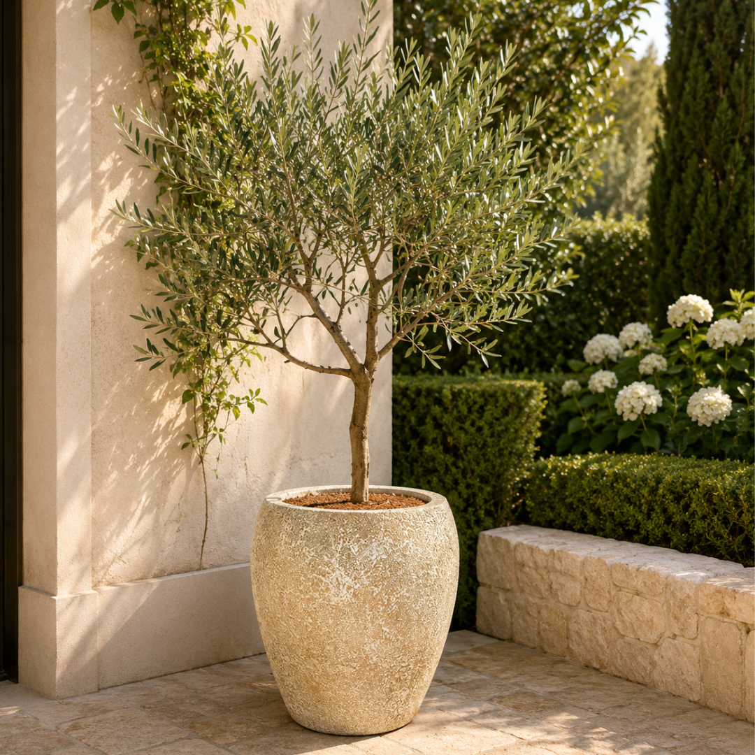Grand vase ancien