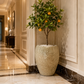 Grand vase ancien