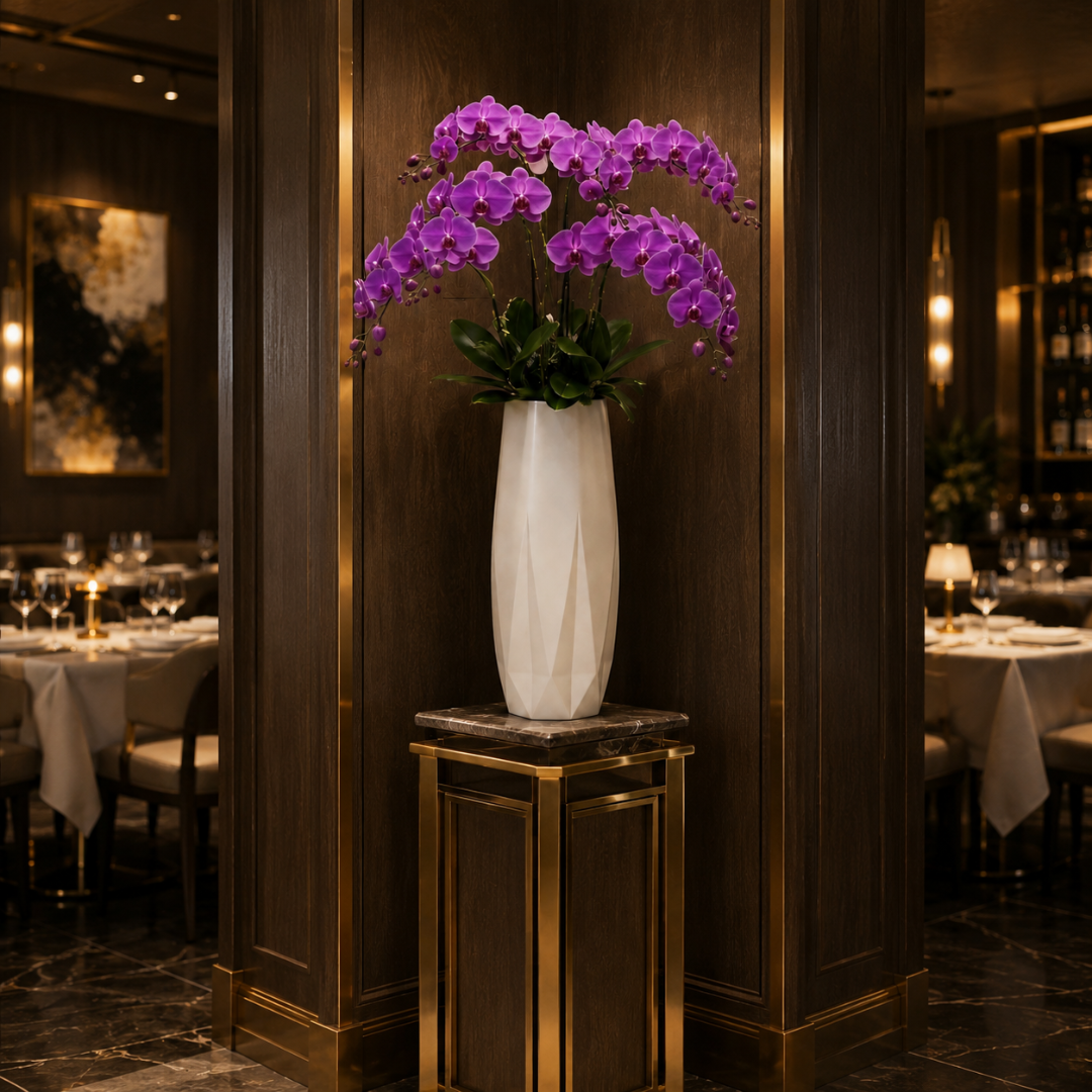 Grand vase pour orchidée