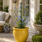 Support plante grimpante design