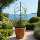 Support plante grimpante design