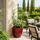 Support plante grimpante design