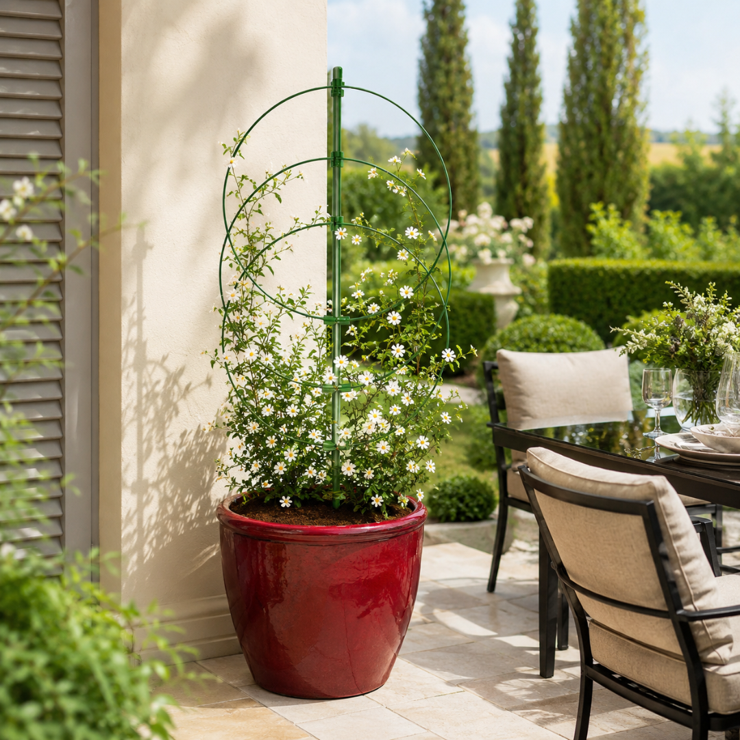 Support plante grimpante design