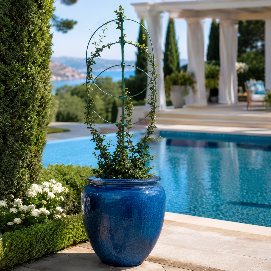 Support plante grimpante design