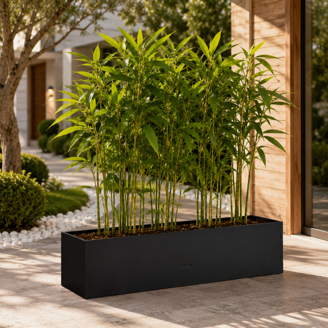 Jardinière pour bambou exterieur