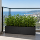 Jardinière pour bambou exterieur