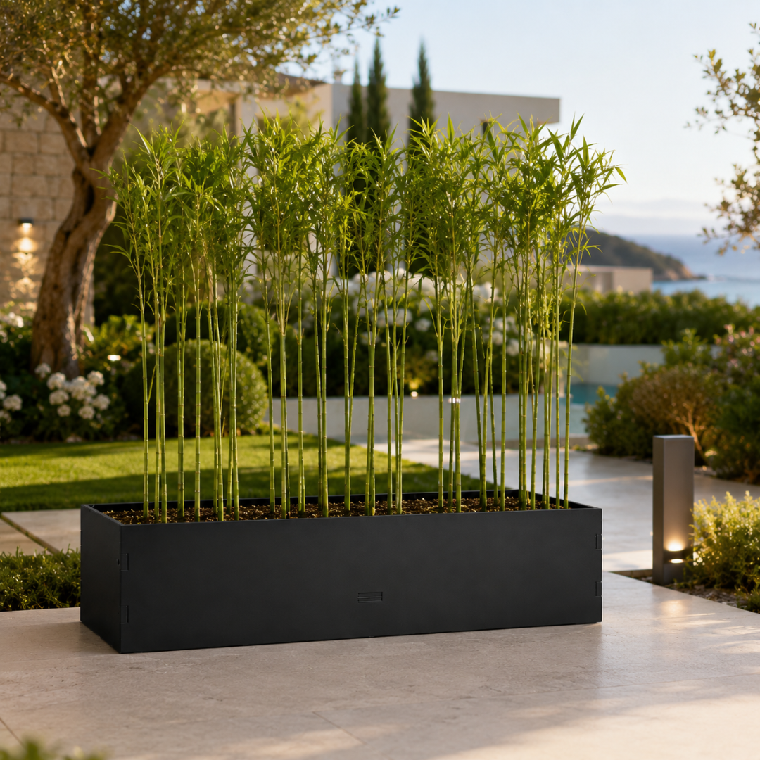 Jardinière pour bambou exterieur