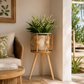 Support plante rotin