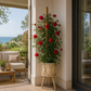 Support bambou pour plantes grimpantes