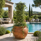 Colonne de jardin pour plantes grimpantes