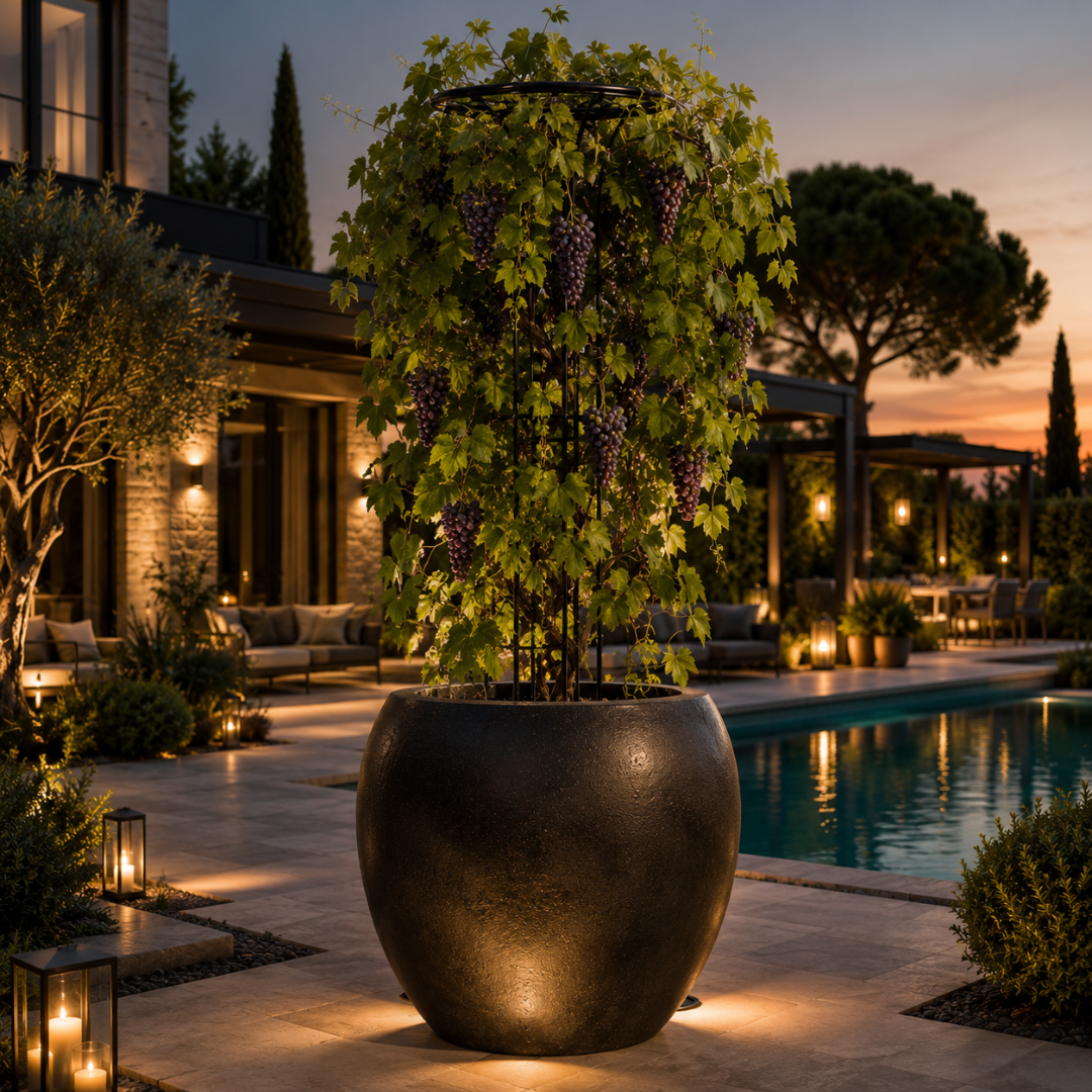 Colonne de jardin pour plantes grimpantes