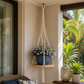 Suspension en corde pour plante