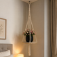 Suspension en corde pour plante