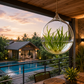 Suspension en verre pour plante