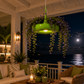 Suspension luminaire plante