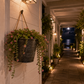 Suspension metal pour plante