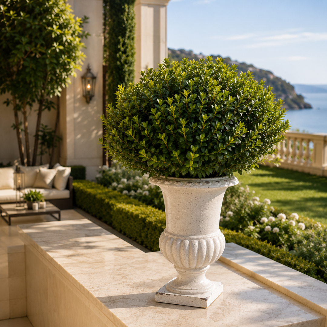 Vase de jardin